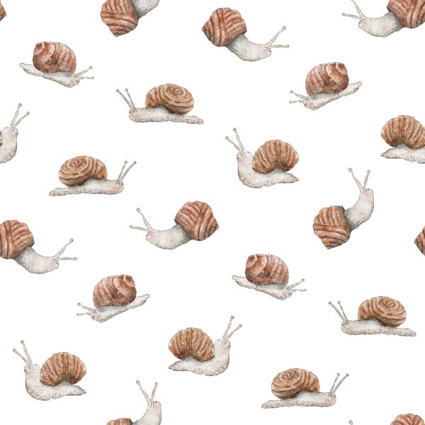 Snails White