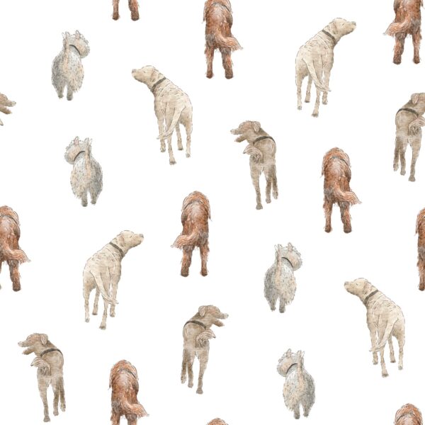 Dog Bums White
