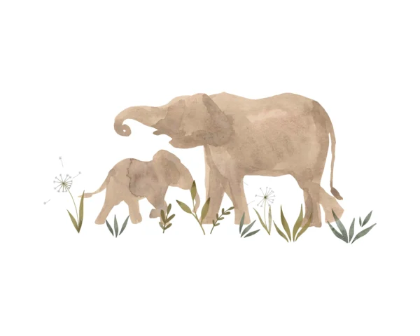 Elephant Transfer Film