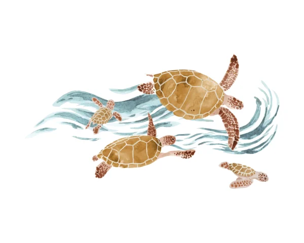 Turtle Transfer Film
